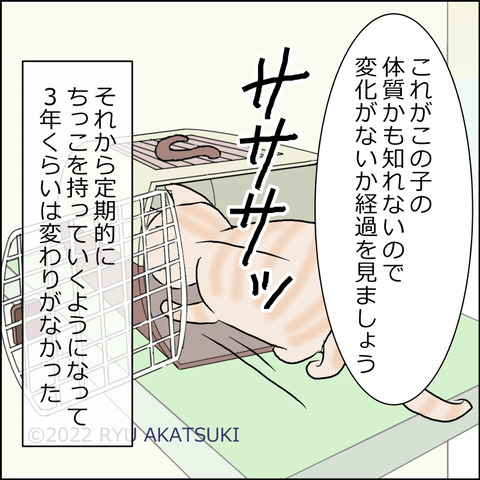 あんこ＆麦kenko63d