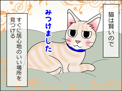あんこ&麦STORY1476b