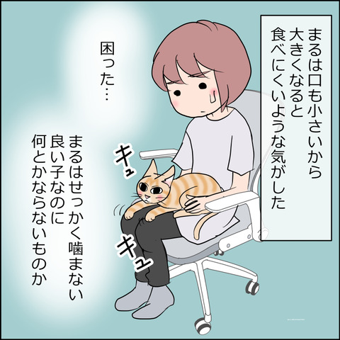 あんこ&麦kenko159c
