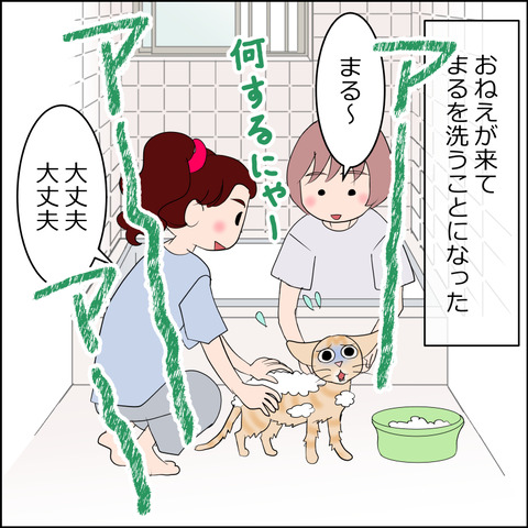 あんこ&麦STORY2323a