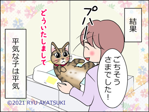 あんこ&麦STORY1467d