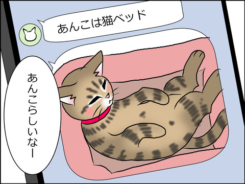 あんこ＆麦STORY1603b