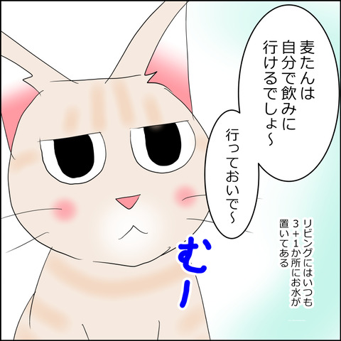 あんこ＆麦STORY2293b