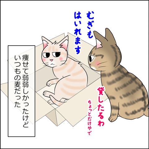 mugitabi020c