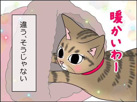 あんこ&麦STORY1482d