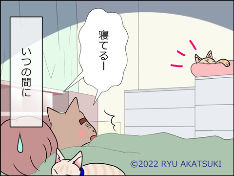 あんこ&麦STORY1567d