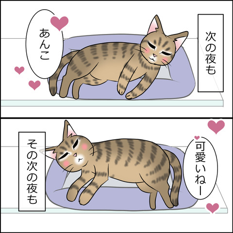 あんこ&麦STORY1910b