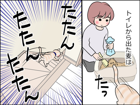 あんこ&麦STORY1541a