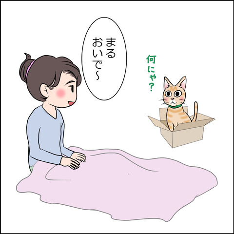 あんこ&麦STORY1821b