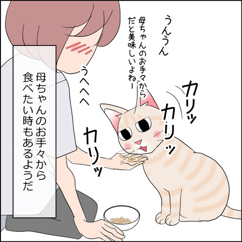 あんこ＆麦STORY2340d