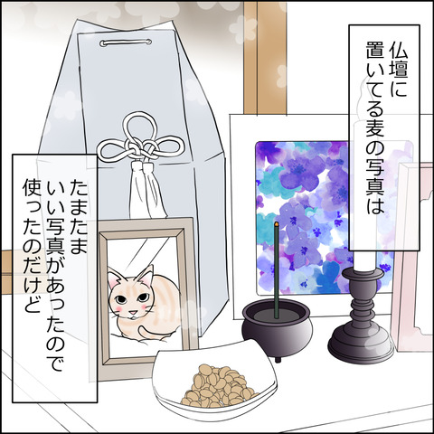 あんこ&麦STORY2427a