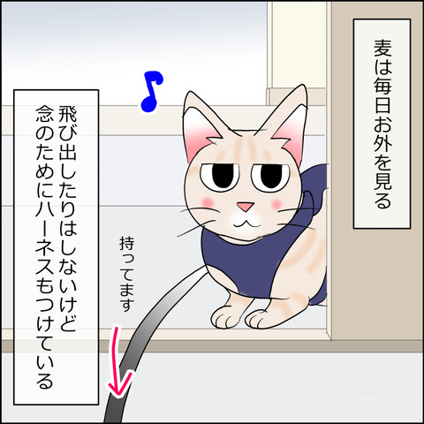 あんこ＆麦STORY2381a