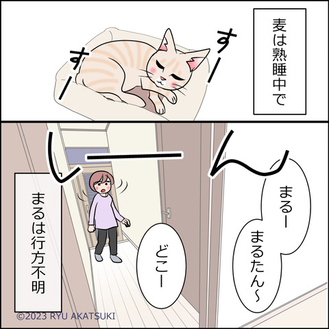 あんこ＆麦STORY2026d