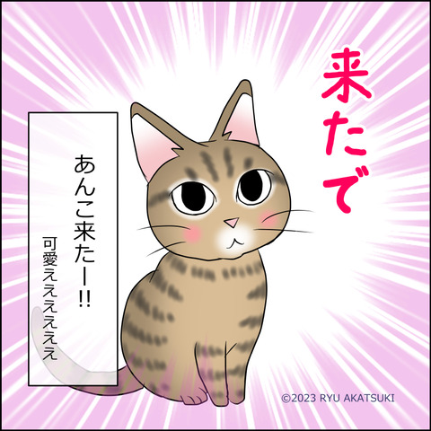 あんこ＆麦STORY1900d