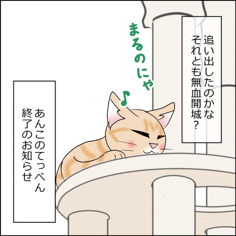あんこ＆麦STORY2493d