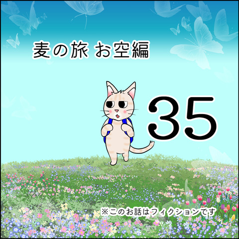 mugitabix035@