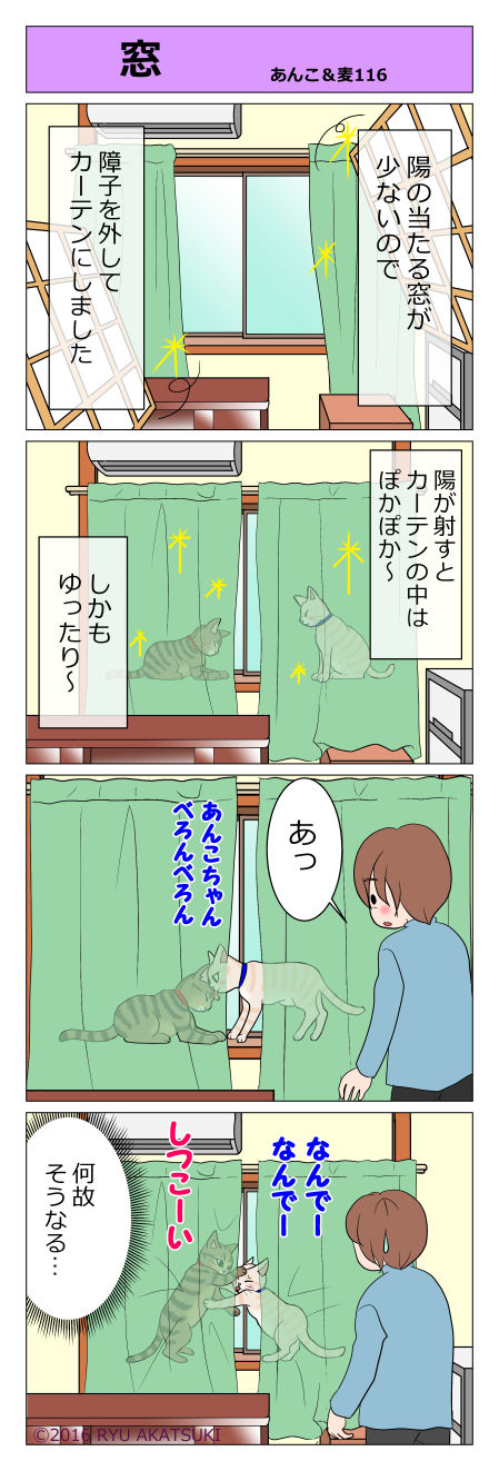 あんこ&麦STORY116