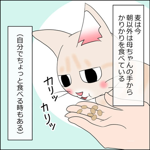 あんこ&麦kenko119a