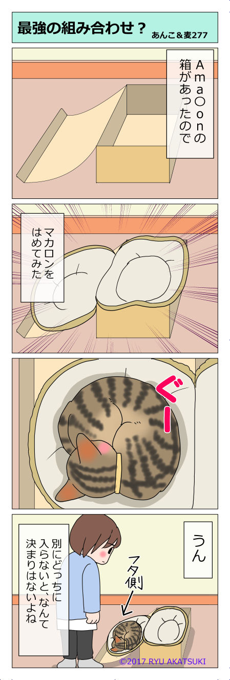 あんこ&麦STORY277