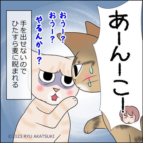 あんこ＆麦STORY1852d