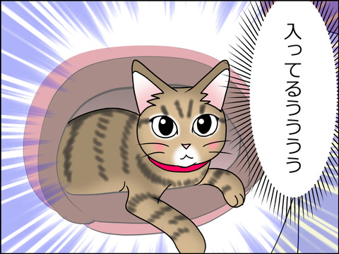 あんこ&麦STORY1475b