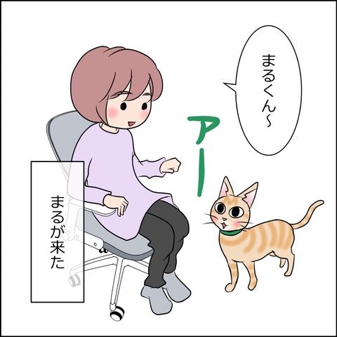 あんこ&麦STORY2021a