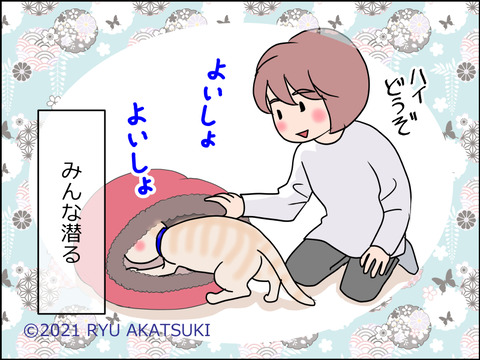 あんこ&麦STORY1510d