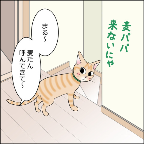 あんこ＆麦STORY2134b