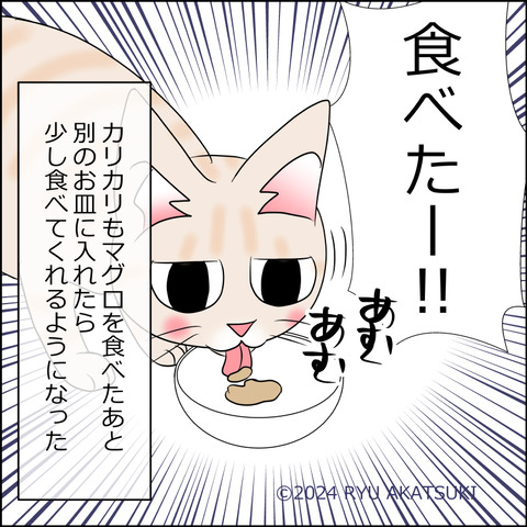 あんこ＆麦kenko91d
