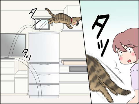 あんこ&麦STORY1436c