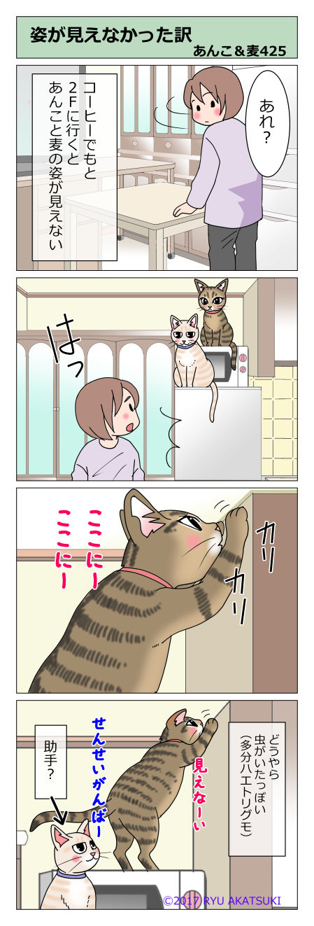 あんこ&麦STORY425