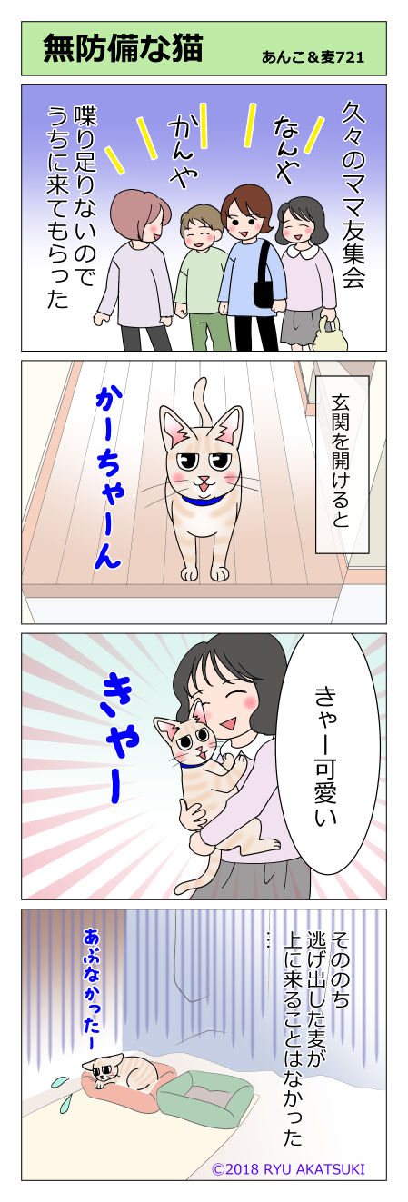 あんこ&麦STORY721