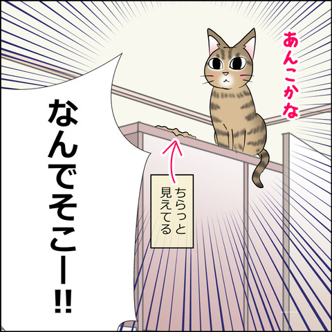 あんこ＆麦STORY2413e