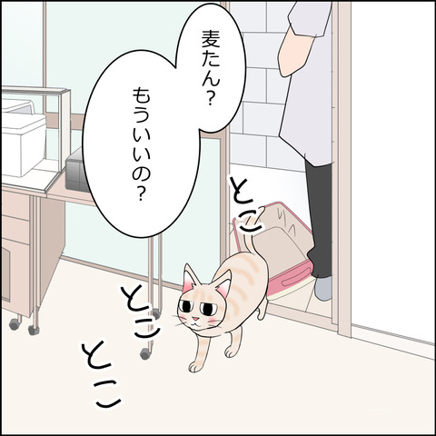あんこ＆麦STORY2325c