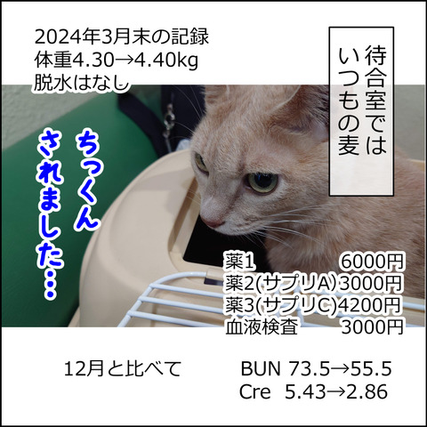 あんこ&麦kenko95e