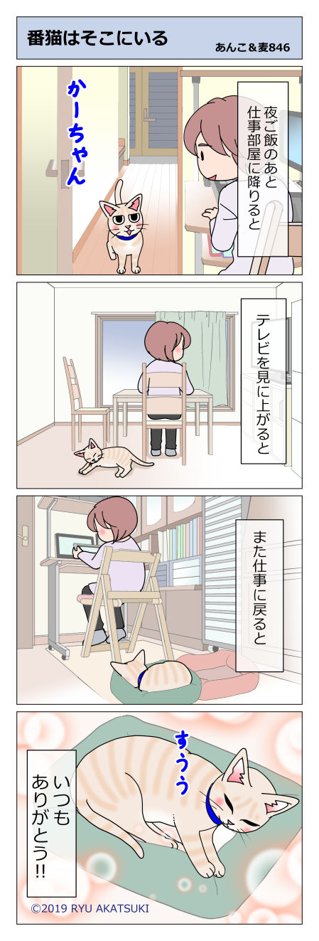 あんこ&麦STORY846