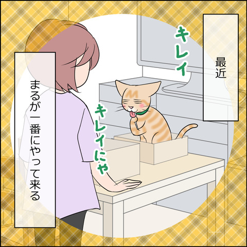 あんこ＆麦STORY2105a