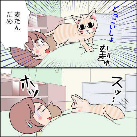 あんこ＆麦STORY1991b