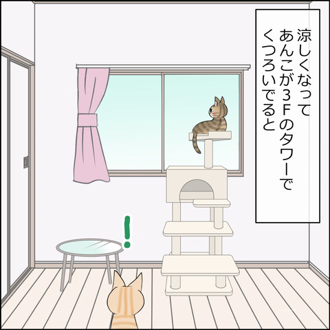 あんこ＆麦STORY2355a