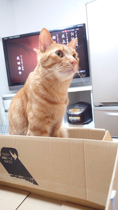 20240728_200259_Original