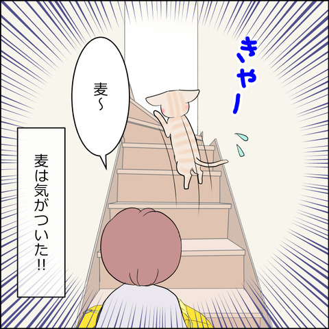 あんこ＆麦STORY2248d