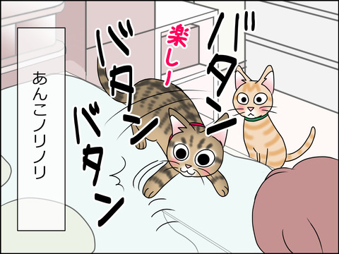 あんこ&麦STORY1445c