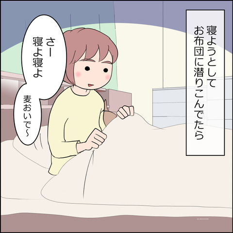 あんこ&麦STORY2243a