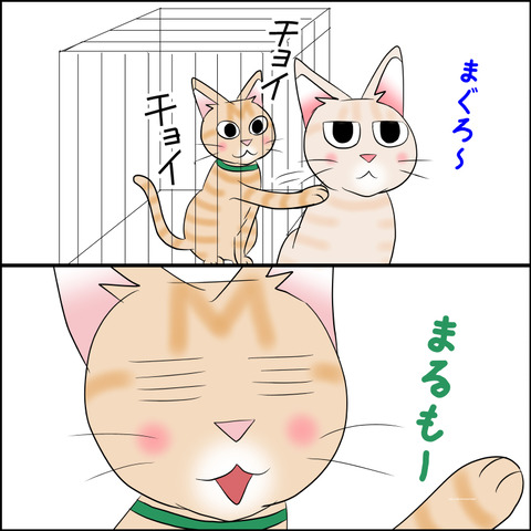 あんこ&麦STORY2137b