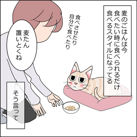 あんこ＆麦STORY2383a