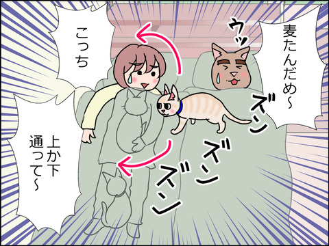 あんこ&麦STORY1504c