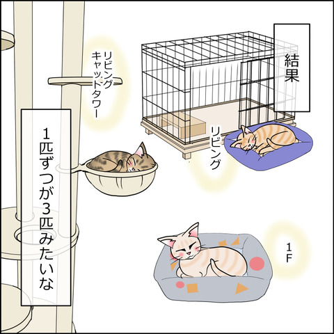 あんこ＆麦STORY2388d