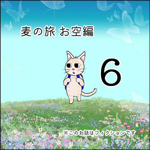 mugitabix006@