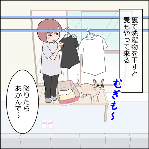 あんこ＆麦STORY2325a