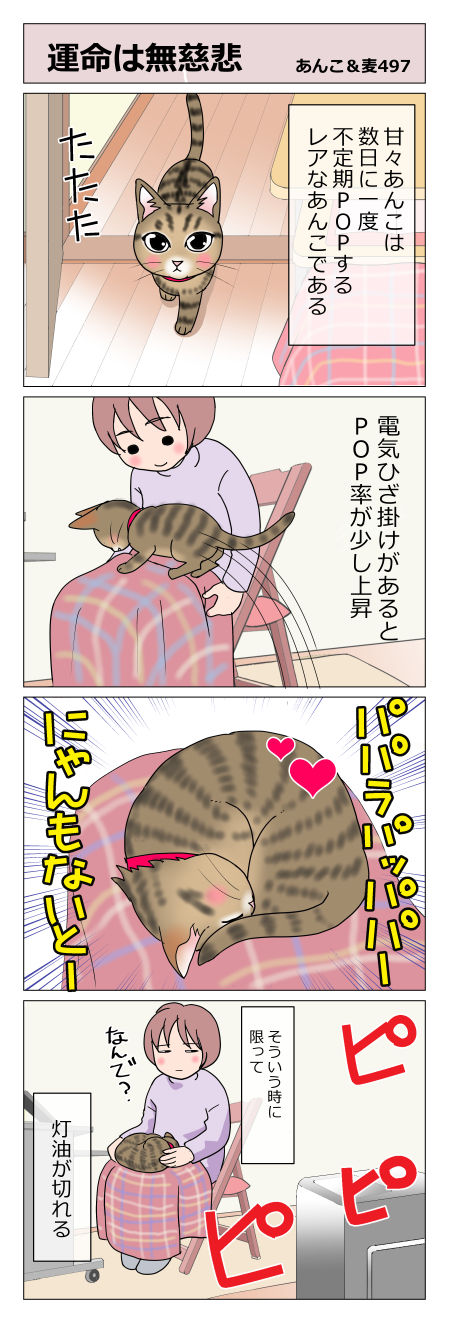 あんこ＆麦STORY497